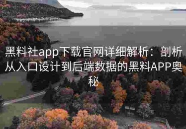 黑料社app下载官网详细解析：剖析从入口设计到后端数据的黑料APP奥秘