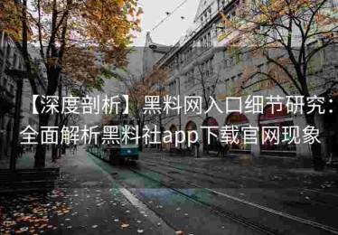 【深度剖析】黑料网入口细节研究：全面解析黑料社app下载官网现象