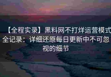 【全程实录】黑料网不打烊运营模式全记录：详细还原每日更新中不可忽视的细节