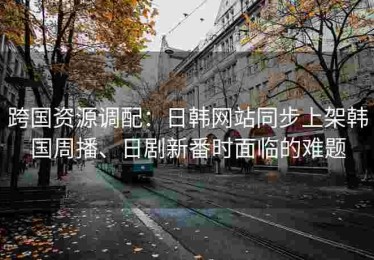 跨国资源调配：日韩网站同步上架韩国周播、日剧新番时面临的难题