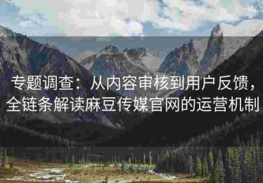 专题调查：从内容审核到用户反馈，全链条解读麻豆传媒官网的运营机制