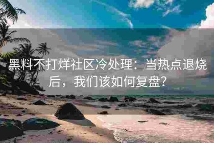 黑料不打烊社区冷处理：当热点退烧后，我们该如何复盘？