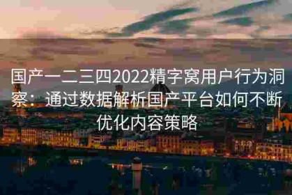 国产一二三四2022精字窝用户行为洞察：通过数据解析国产平台如何不断优化内容策略