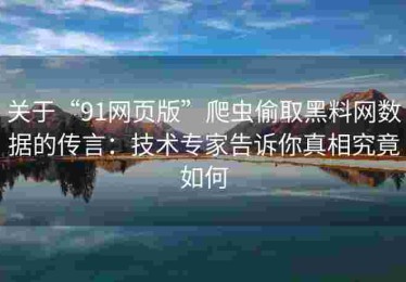 关于“91网页版”爬虫偷取黑料网数据的传言：技术专家告诉你真相究竟如何