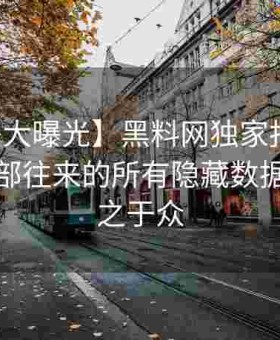 【秘密大曝光】黑料网独家报道：将企业内部往来的所有隐藏数据统统公之于众
