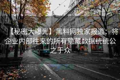 【秘密大曝光】黑料网独家报道：将企业内部往来的所有隐藏数据统统公之于众