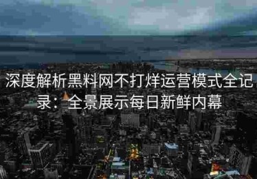 深度解析黑料网不打烊运营模式全记录：全景展示每日新鲜内幕