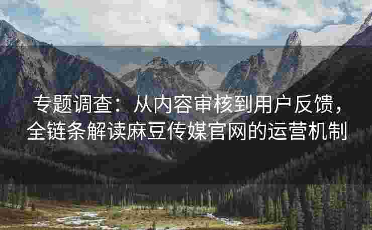 专题调查：从内容审核到用户反馈，全链条解读麻豆传媒官网的运营机制