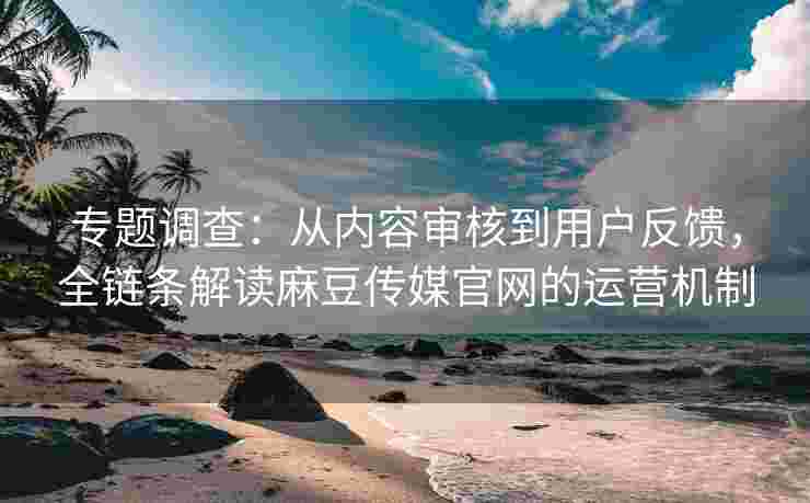 专题调查：从内容审核到用户反馈，全链条解读麻豆传媒官网的运营机制
