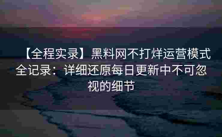 【全程实录】黑料网不打烊运营模式全记录：详细还原每日更新中不可忽视的细节