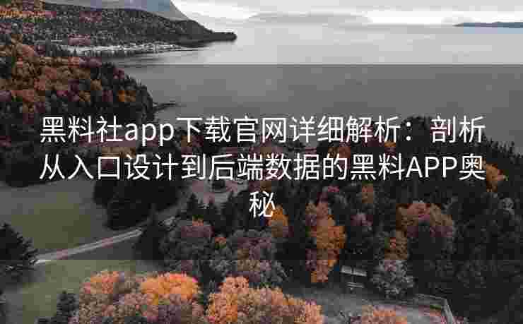 黑料社app下载官网详细解析：剖析从入口设计到后端数据的黑料APP奥秘