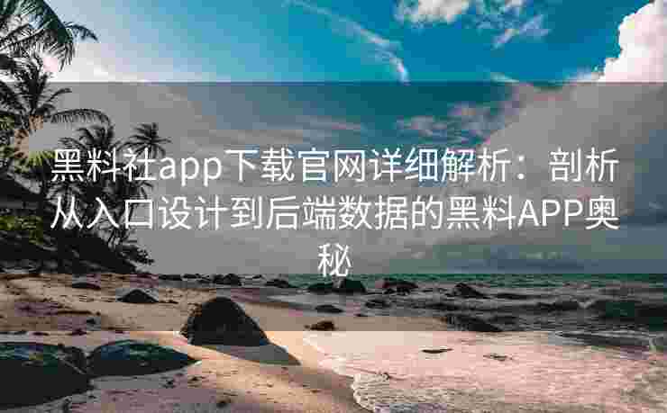 黑料社app下载官网详细解析：剖析从入口设计到后端数据的黑料APP奥秘