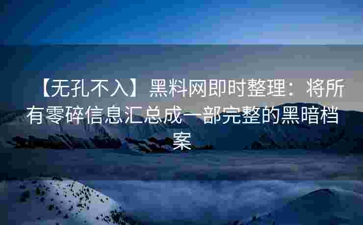 【无孔不入】黑料网即时整理：将所有零碎信息汇总成一部完整的黑暗档案